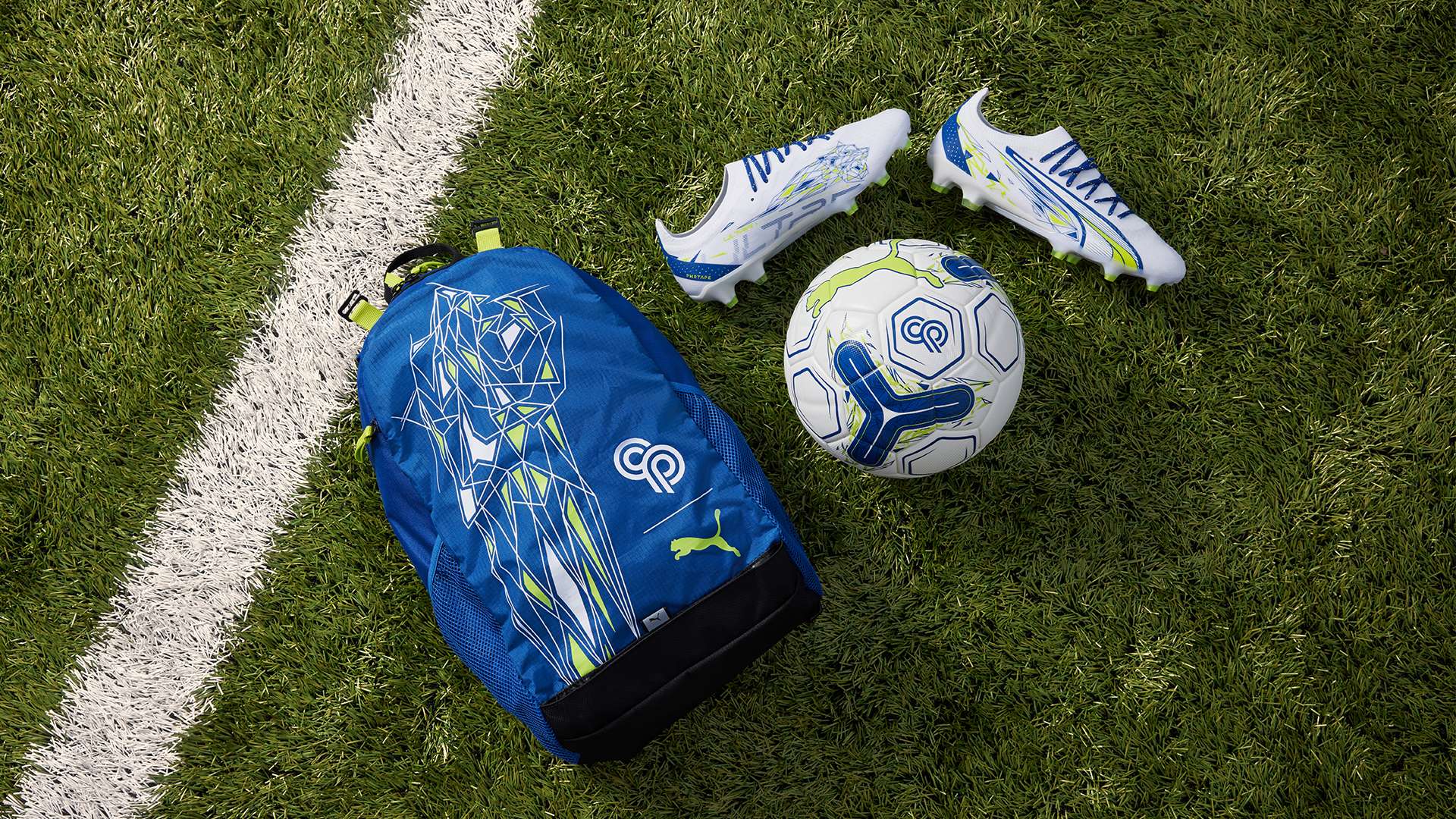 王珊珊和其 王珊珊和其